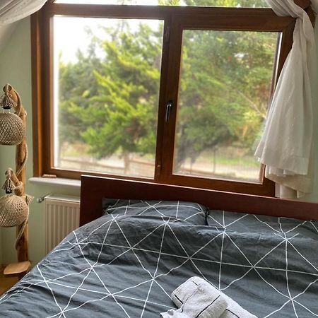 Havalimanina Yakin Orman Icinde Ferah Villa1 Arnavutkoy Exterior foto